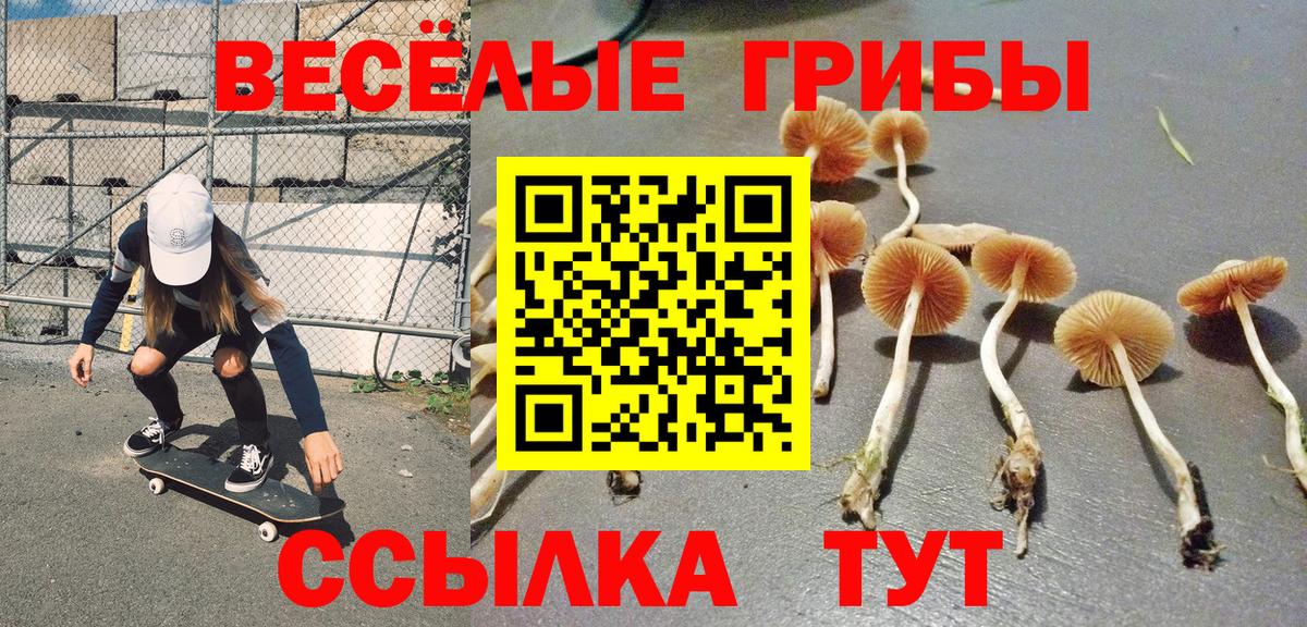 Псилоцибиновые грибы мухоморы  Вход с VPN  Галлюциногенные грибы Psilocybine cubensis  Строитель 